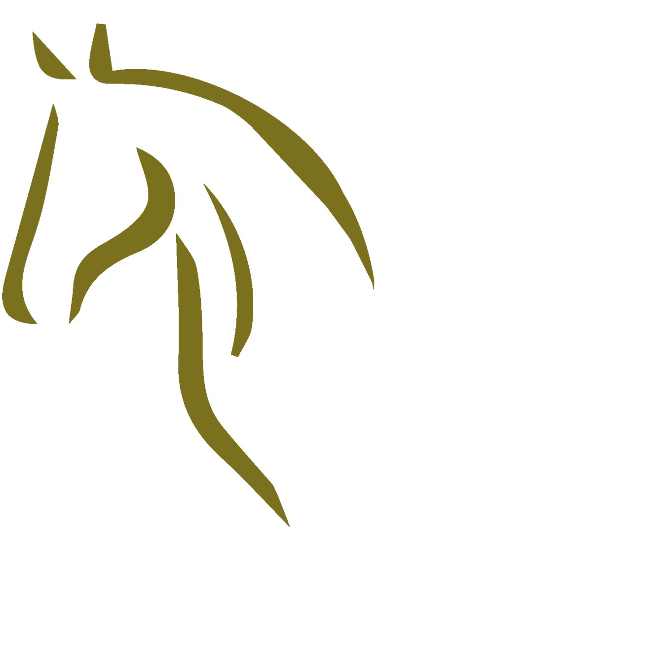 Liesbetnijboer.nl